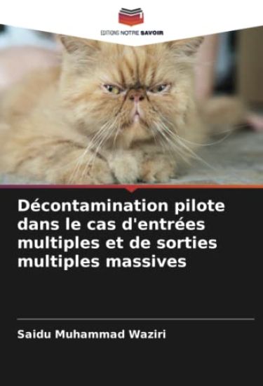 Décontamination pilote dans le cas d'entrées multiples et de sorties multiples massives