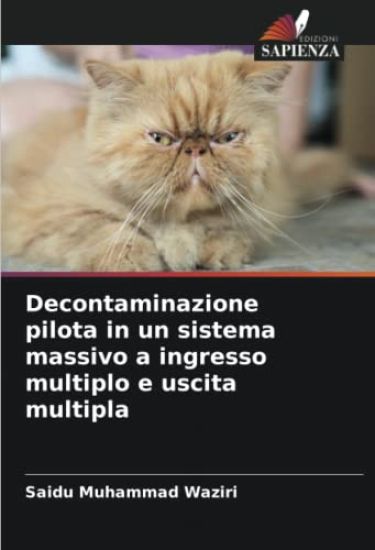 Decontaminazione pilota in un sistema massivo a ingresso multiplo e uscita multipla