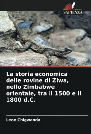 La storia economica delle rovine di Ziwa, nello Zimbabwe orientale, tra il 1500 e il 1800 d.C.