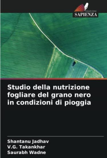 Studio della nutrizione fogliare del grano nero in condizioni di pioggia