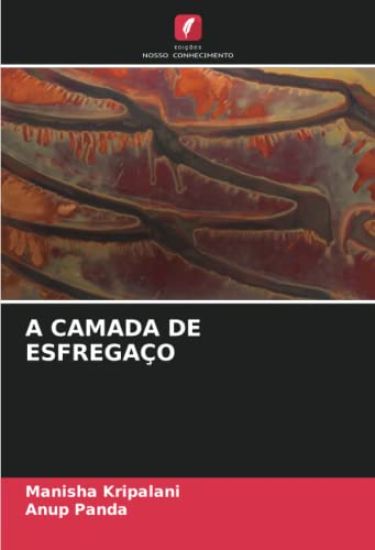 A CAMADA DE ESFREGAÇO