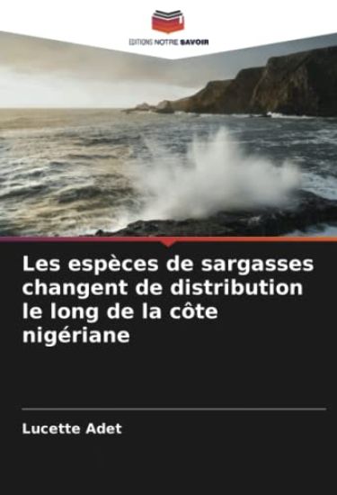 Les espèces de sargasses changent de distribution le long de la côte nigériane