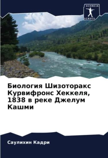 Biologiq Shizotorax Kurwifrons Hekkelq, 1838 w reke Dzhelum Kashmi