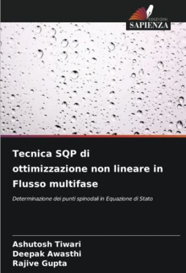 Tecnica SQP di ottimizzazione non lineare in Flusso multifase