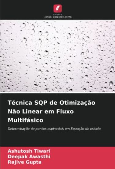 Técnica SQP de Otimização Não Linear em Fluxo Multifásico