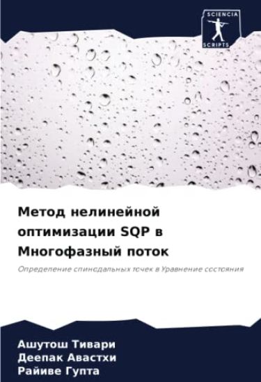 Metod nelinejnoj optimizacii SQP w Mnogofaznyj potok