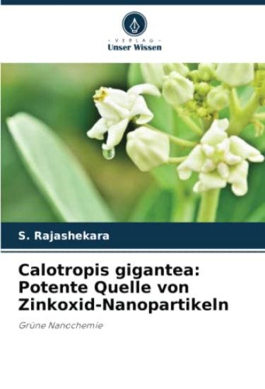 Calotropis gigantea: Potente Quelle von Zinkoxid-Nanopartikeln