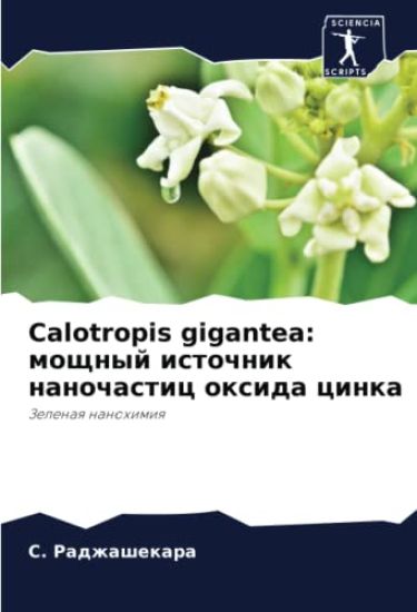 Calotropis gigantea: moschnyj istochnik nanochastic oxida cinka