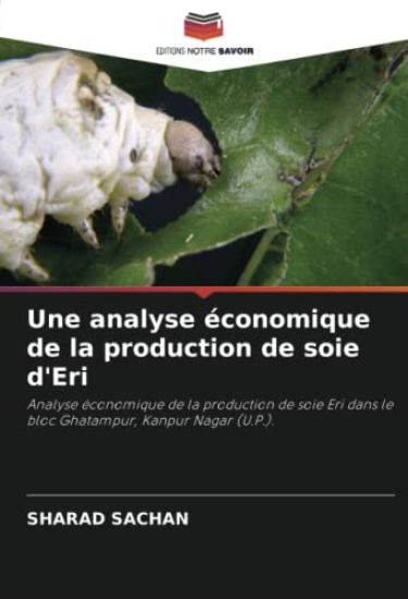 Une analyse économique de la production de soie d'Eri