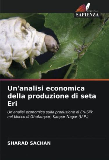 Un'analisi economica della produzione di seta Eri