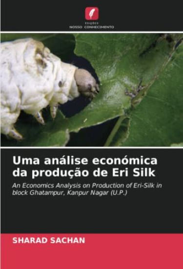 Uma análise económica da produção de Eri Silk