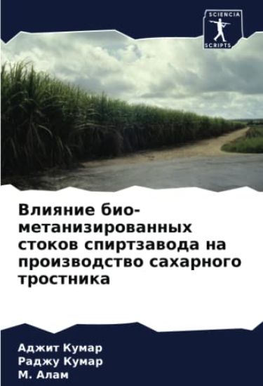 Vliqnie bio-metanizirowannyh stokow spirtzawoda na proizwodstwo saharnogo trostnika