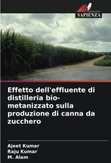 Effetto dell'effluente di distilleria bio-metanizzato sulla produzione di canna da zucchero