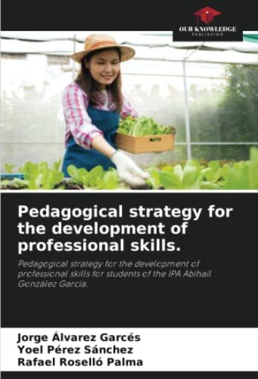 Pedagogical strategy for the development of professional skills.