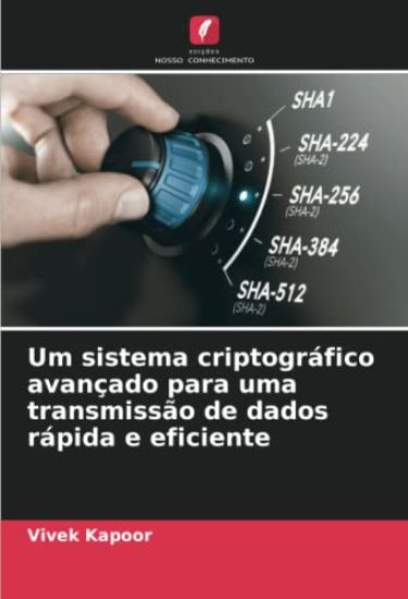Um sistema criptográfico avançado para uma transmissão de dados rápida e eficiente