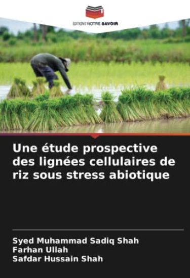 Une étude prospective des lignées cellulaires de riz sous stress abiotique