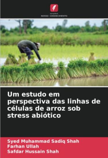 Um estudo em perspectiva das linhas de células de arroz sob stress abiótico