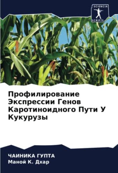 Profilirowanie Jexpressii Genow Karotinoidnogo Puti U Kukuruzy