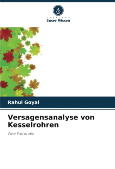 Versagensanalyse von Kesselrohren