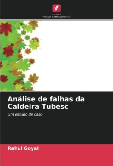 Análise de falhas da Caldeira Tubesc