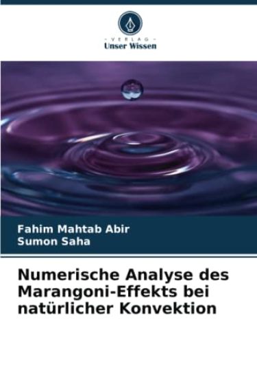 Numerische Analyse des Marangoni-Effekts bei natürlicher Konvektion