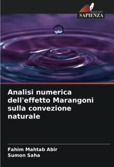 Analisi numerica dell'effetto Marangoni sulla convezione naturale