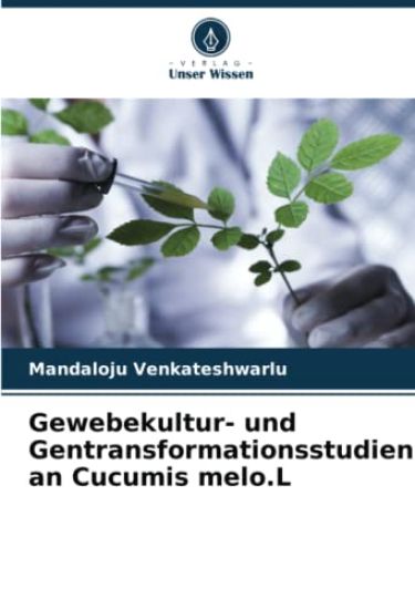 Gewebekultur- und Gentransformationsstudien an Cucumis melo.L