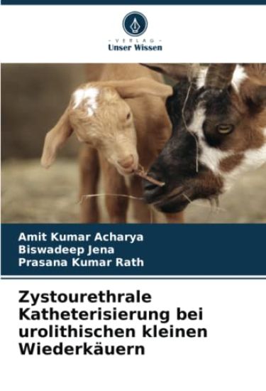 Zystourethrale Katheterisierung bei urolithischen kleinen Wiederkäuern
