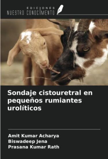 Sondaje cistouretral en pequeños rumiantes urolíticos