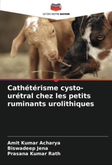 Cathétérisme cysto-urétral chez les petits ruminants urolithiques