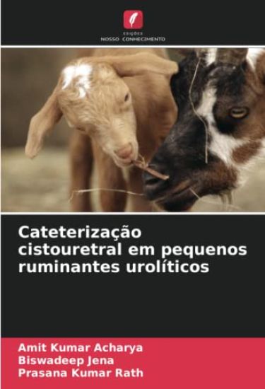 Cateterização cistouretral em pequenos ruminantes urolíticos