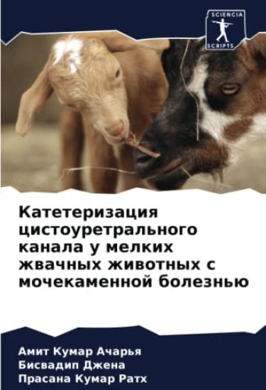 Kateterizaciq cistouretral'nogo kanala u melkih zhwachnyh zhiwotnyh s mochekamennoj bolezn'ü