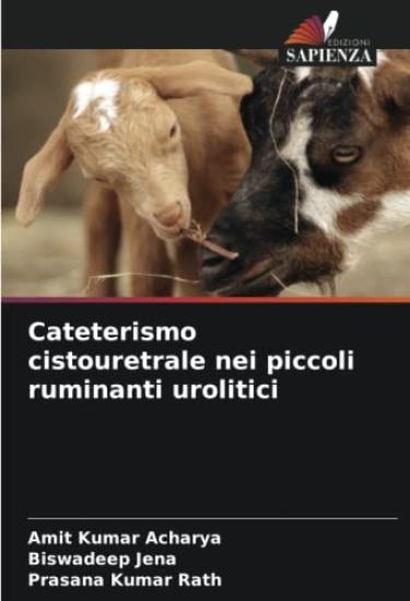 Cateterismo cistouretrale nei piccoli ruminanti urolitici