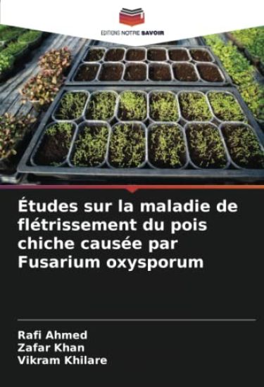 Études sur la maladie de flétrissement du pois chiche causée par Fusarium oxysporum