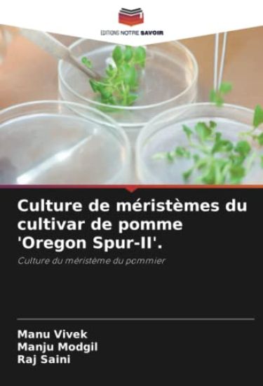Culture de méristèmes du cultivar de pomme 'Oregon Spur-II'.