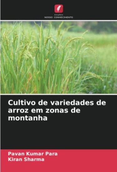 Cultivo de variedades de arroz em zonas de montanha