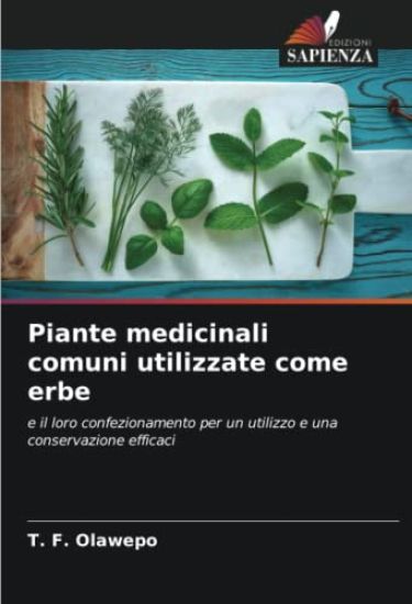 Piante medicinali comuni utilizzate come erbe