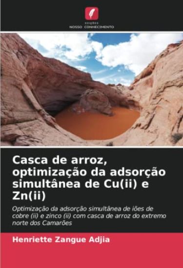 Casca de arroz, optimização da adsorção simultânea de Cu(ii) e Zn(ii)