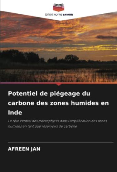 Potentiel de piégeage du carbone des zones humides en Inde