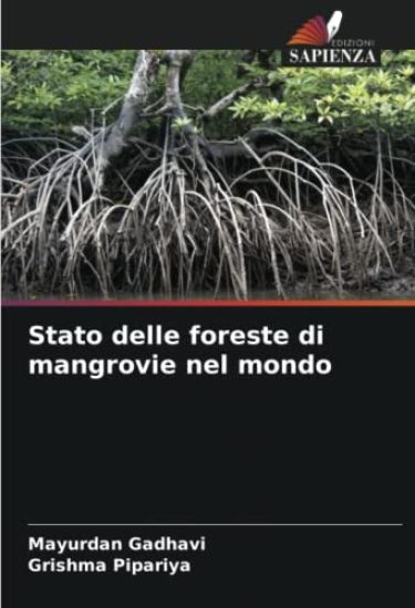Stato delle foreste di mangrovie nel mondo