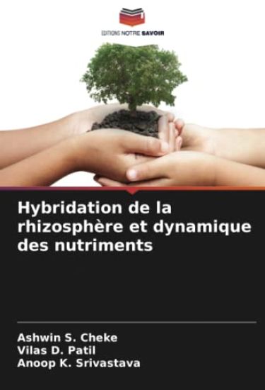 Hybridation de la rhizosphère et dynamique des nutriments