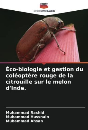 Éco-biologie et gestion du coléoptère rouge de la citrouille sur le melon d'Inde.
