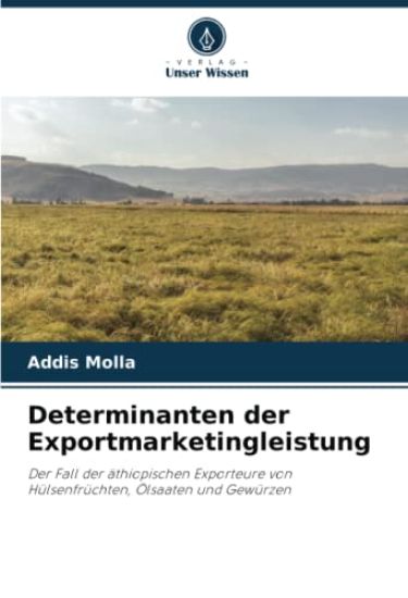 Determinanten der Exportmarketingleistung
