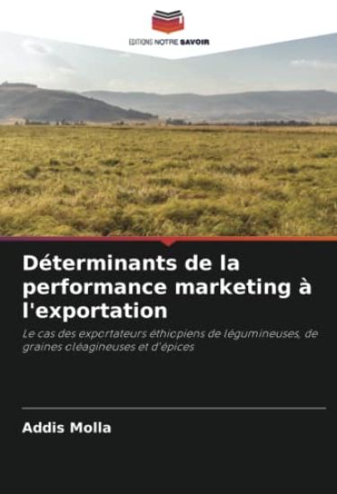 Déterminants de la performance marketing à l'exportation