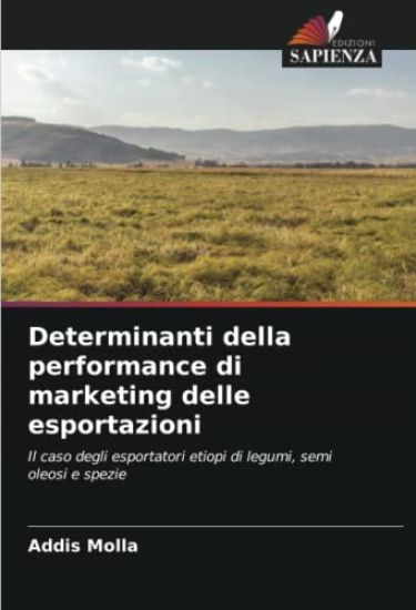 Determinanti della performance di marketing delle esportazioni
