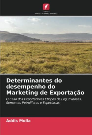 Determinantes do desempenho do Marketing de Exportação