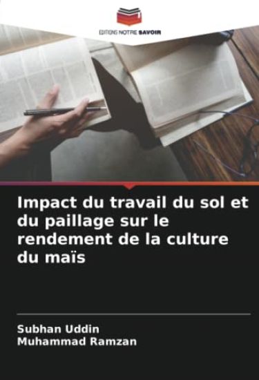Impact du travail du sol et du paillage sur le rendement de la culture du maïs