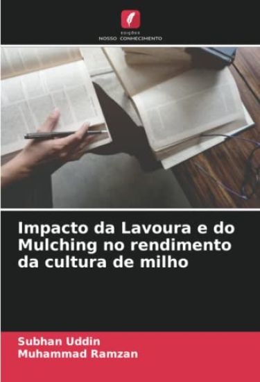 Impacto da Lavoura e do Mulching no rendimento da cultura de milho