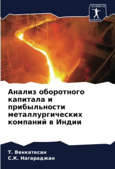 Analiz oborotnogo kapitala i pribyl'nosti metallurgicheskih kompanij w Indii