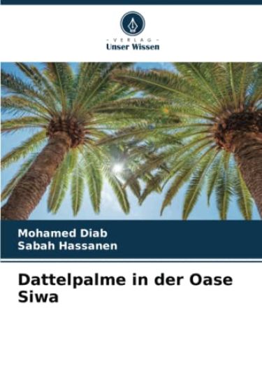 Dattelpalme in der Oase Siwa